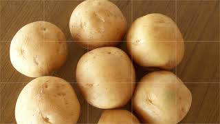 Black Scurf Of Potato Emesto prime fungicide Hindi  Bayer Crop Science India [upl. by Ecnerwaled]