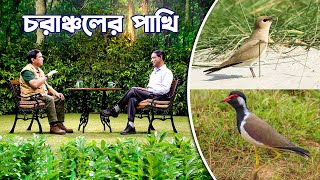 চরাঞ্চলের পাখি  Birds of Chars [upl. by Darom]