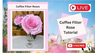 How to Make a Coffee Filter Roses [upl. by Padget696]