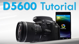 Nikon D5600 Overview Tutorial [upl. by Lydnek588]