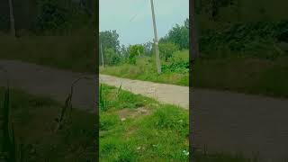 Sawan aaya h whatsapp status viralvideo short viralshorts [upl. by Ammon]