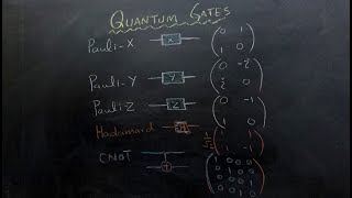 Quantum Computing Understanding Quantum Gates  PauliX Z Hadamard CNOT SWAP and Rotation Gate [upl. by Enamrahs776]