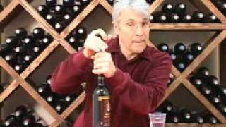 Vacu Vin Wine Preservation HowTo [upl. by Colb]