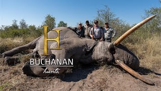 Season 1  ep 13  Giant Botswana Elephant [upl. by Idnir547]