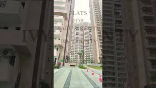 Flats available for Sale amp Rent in Ivy County sector 75 Noida ivycounty countygroup [upl. by Onihc]