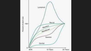 The Scammons Growth Curve [upl. by Atinuhs]