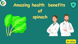 benefits of Spinach Spinacia oleracea L for your health and beauty [upl. by Annaxor]