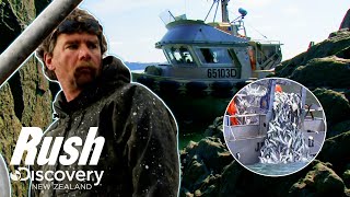 Veteran Fisherman Jeff Songstad Reels In 4 Tons Of Herring Fish In A Day  Bristol Bay Brawl [upl. by Hogg376]