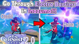 How to go through an Electro Barrier in Inazuma  Genshin Impact 20 Thunder Barrier [upl. by Ancilin]