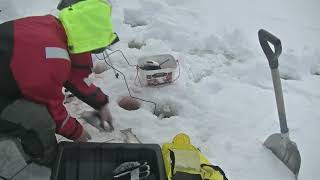 isfiske regnbåge ice fishing rainbow [upl. by Avrom]