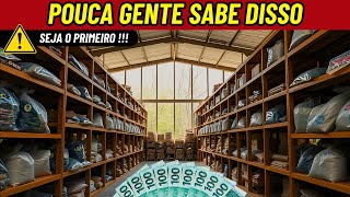 13 Negócios PEQUENOS e LUCRATIVOS que te Darão Bons Lucros [upl. by Mikahs]