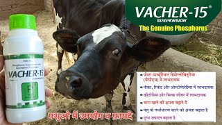 VACHER15  PPH  Pica rickets amp osteomalacia  Ketosis amp milk fever  Improves milk production [upl. by Karlow]