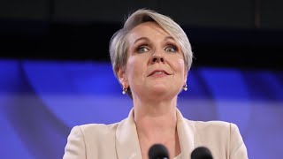 Tanya Plibersek accused of ‘secretly overruling’ own department on gold mine veto [upl. by Alethia452]