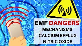 EMF Danger Basic Cellular Mechanisms Calcium Efflux amp Nitric Oxide [upl. by Chatwin]