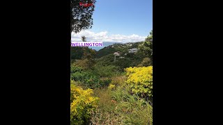 NZ  Buy house at 53 Ngaio Gorge Road Ngaio Wellington Wellington NewZealand  MapFlagged [upl. by Ajnat]