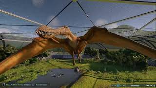 Jurassic World Evolution 2  Maardactylus [upl. by Flowers21]