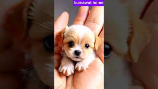 Dog video ai dog ai aiart aiartcommunity aiartwork artloversmidjourney digitalart cinema4d [upl. by Anaujait]