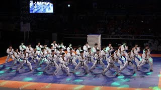 2018 제주 한마당 Jeju World Taekwondo Hanmadang，Opening Ceremony，Kukkiwon Demonstration Team 국기원，国技院 [upl. by Lamphere]