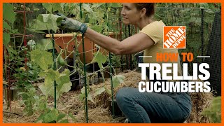 How to Trellis Cucumbers  Edible Gardening  The Home Depot [upl. by Belita]