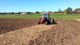 IH 1468 offset discing [upl. by Slinkman284]