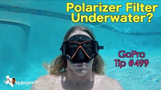 Can Polarizer Filter Work Underwater GoPro Tip 499  MicBergsma [upl. by Ihcelek]