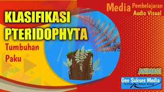 Klasifikasi Paku Pteridophyta  Materi Biologi Lanjutan Tumbuhan Paku Bagian 2 [upl. by Coffee12]