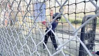 PEEZY FAM BASEBALL LOS ANGELES BATTING PRACTICE 8U 24911 [upl. by Melc241]