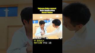 The application of Kata quotHeian Nidanquot Tatsuya Naka sensei karate karatedo kata [upl. by Slack]