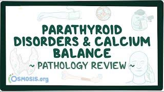 Parathyroid disorders and calcium balance Pathology Review [upl. by Miran]