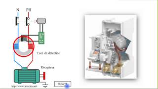 Interrupteur Différentiel  Constitution et fonctionnement [upl. by Ellsworth943]