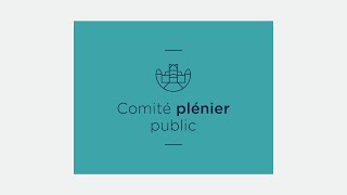 Comité plénier public du 3 septembre 2024 [upl. by Ojeillib99]