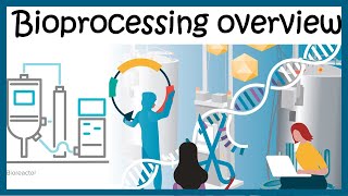 Bioprocessing overview Upstream and downstream process [upl. by Leahicm]