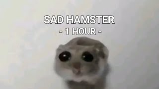 Sad Hamster 1 HOUR [upl. by Leone78]