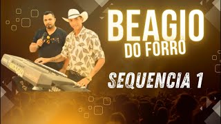 BEAGIO DO FORRO 1  forrÃ³ sertanejo arrocha piseiro [upl. by Rai]