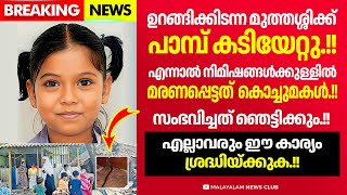 പാലക്കാട് നടന്ന സംഭവം ഈ കാര്യങ്ങൾ ശ്രദ്ധിച്ചില്ലെങ്കിൽ ഇത് എല്ലാവർക്കും സംഭവിക്കാം [upl. by Erait438]