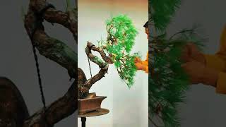 INSTRUCTIONS FOR CREATING THE EASIEST AND MOST BEAUTIFUL LANDSCAPING TREES bonsai bonsaiideas [upl. by Wilcox]