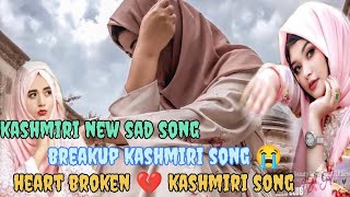 afsar cxey  dil meoun daftar afsar cxey kashmiri song  latest kashmiri songs [upl. by Hertberg]