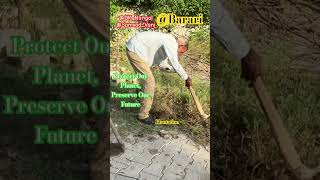 nangaldam naturelovers plantation savegreen greenry trees shorts samvadvani4637 [upl. by Kondon698]