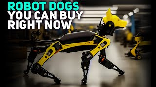 Robot Dogs You Can Buy Right Now [upl. by Cissiee]