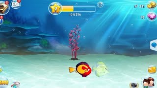 Relaxing Aquarium Game ep1 [upl. by Eidac]