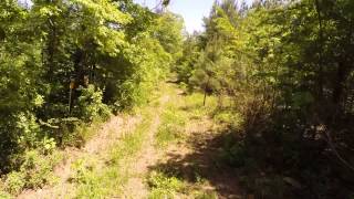 103 Acres amp Cabin For Sale In Clay County Alabama [upl. by Assyle]