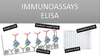 The Principle of Immunoassays ELISA Enzyme Linked Immunosorbent Assay [upl. by Debee354]