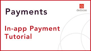 Making Payments within Dedoose [upl. by Nesyla34]