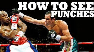 How to See a Punch Coming in Boxing MMA or Street Fight [upl. by Nyluqcaj405]