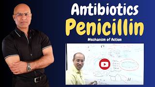 Penicillin  Antibiotics  Mechanism of Action  Pharmacology💊 [upl. by Lumpkin]