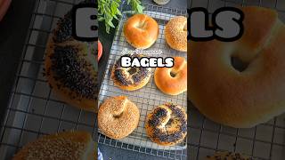 HOMEMADE BAGELS easy recipe full recipe IG quotthesutedjosfamilyquot bagelsandwich bagelrecipe [upl. by Hseyaj]