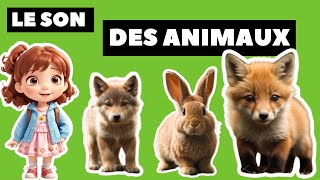 Apprendre les animaux et leurs bruits en français  Animaux pour enfants  Learn animals 🦊 [upl. by Eita]