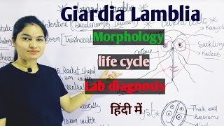 Giardia Lamblia  Morphology  Life Cycle  Lab Diagnosis  Giardiasis in hindi [upl. by Des]