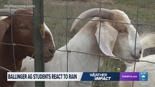 Ballinger HS ag students react to rain [upl. by Pettit232]