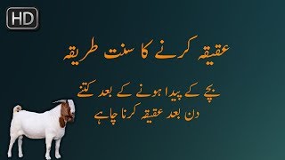 Aqiqa ka sunnat tarika  Bachay ki Pedayesh per Aqeeqah kab krna chahiye [upl. by Salter]